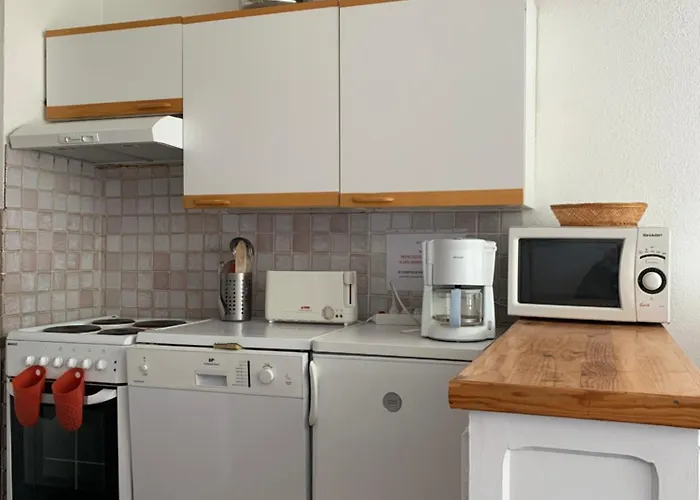 Proximité Immédiate Des Pistes Appartement *